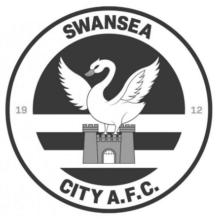 Swansea City A.F.C Tony Walmsley Hivemind Speaker
